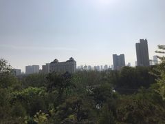 -迎泽公园