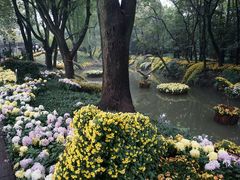 -汇龙潭