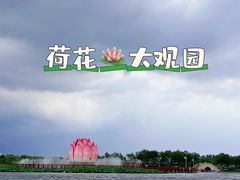 -白洋淀风景区