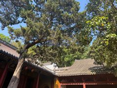 -普陀山风景名胜区-法雨禅寺