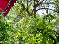 -Santoor 萨都里印度餐厅(北锣鼓巷店)