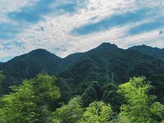 -江南天池