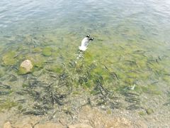 -青海湖二郎剑景区