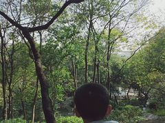 -蟹山公园