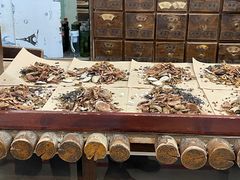 -弘医堂中医院