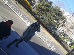 -静园(和平区)