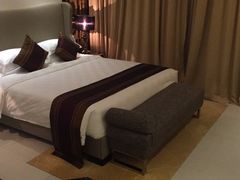 -河源万绿湖美思威尔顿酒店