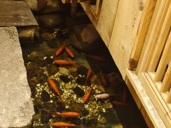 -邈墨茶馆(凤起路店)