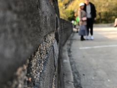 -蟒山国家森林公园-停车场