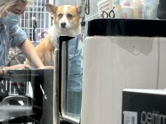 -宠物家(大兴旧宫店)