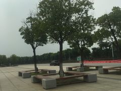 -南湖湿地公园