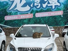 -龙湾潭国家森林公园