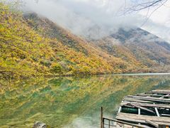 -叠溪松坪沟景区