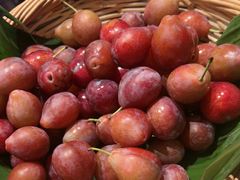 -金茂君悦·食在56海鲜自助餐厅ON56