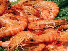 白灼小斑节虾-骏莱海鲜鱼港(五角场店)