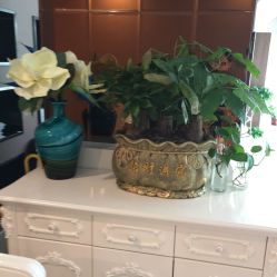 -佐登妮丝美容SPA生活馆