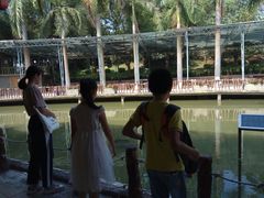 -揭东万竹园旅游景区