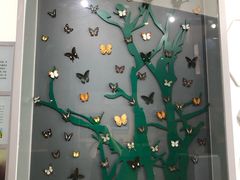 -房山世界地质公园博物馆