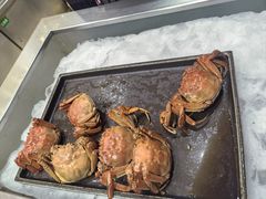 -听松楼·花园酒店·自助餐厅(红梅公园店)