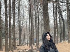 -白水寺森林公园
