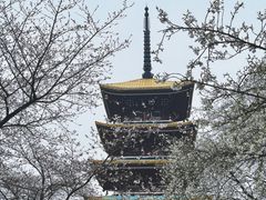 -东湖生态旅游风景区