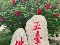 -五台山风景名胜区