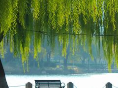 -济南国际园博园