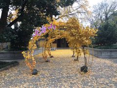 -苏州上方山国家森林公园