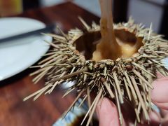 -渔日本料理铁板烧(新天地假日广场店)