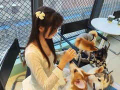 -怪兽屋·羊驼·猫咖·狗咖(俊华广场店)