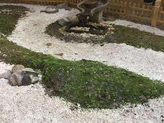 -浮何烤铺(桐梓林店)
