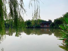 -鹅湖玫瑰文化园