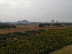 -光明小镇欢乐田园