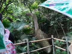 -青青世界