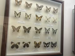 -陕西自然博物馆