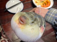 -永安鱼庄·镇江菜(丁卯店)