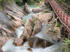 -广州白江湖森林公园