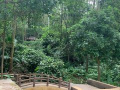 -火炉山森林公园