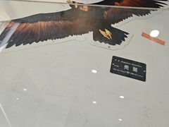 -大金鹰园