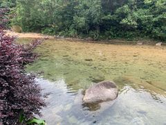 -增城大丰门漂流