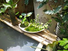 -素清香(解放路店)