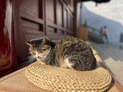 -鸡鸣寺