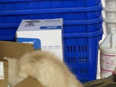 -栾川竹海野生动物园