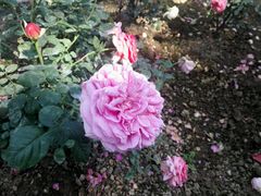 -人民公园(罗湖区)