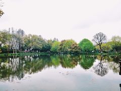 -西湖外事游船(花港观鱼码头)