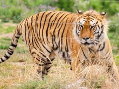 -济南野生动物世界