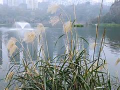 -重庆彩云湖湿地公园