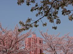 -永乐路-路侧停车场