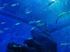 -成都浩海立方海洋公园