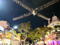 -布里斯班南岸公园